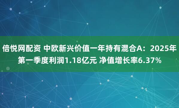 倍悦网配资 中欧新兴价值一年持有混合A：2025年第一季度利润1.18亿元 净值增长率6.37%