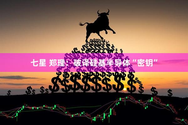 七星 郑理：破译硅基半导体“密钥”