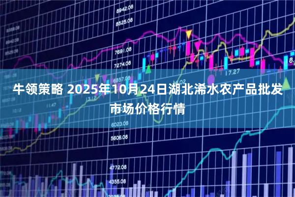 牛领策略 2025年10月24日湖北浠水农产品批发市场价格行情