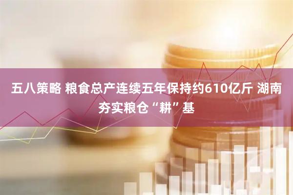 五八策略 粮食总产连续五年保持约610亿斤 湖南夯实粮仓“耕”基